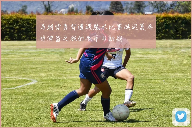 马刺背靠背遭遇魔术比赛延迟夏洛特滞留之旅的艰辛与挑战